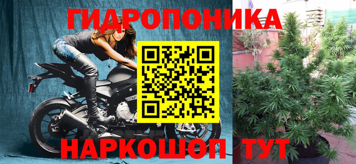 МАРИХУАНА MAZAR Алексеевка